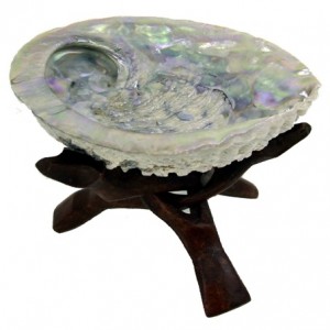 Abalone schelp voor het branden van Smudge sticks & Witte Salie