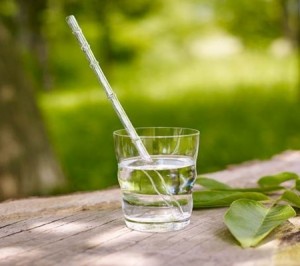 Vitaalwater rietje van Nature's Design
