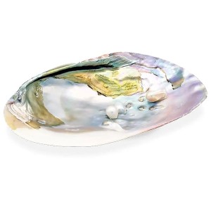 Schelp, parelmoer, met parels