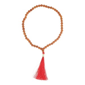 Mala (reismala) met 54 rudraksha kralen