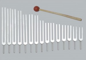 Human Organ Tuning Forks