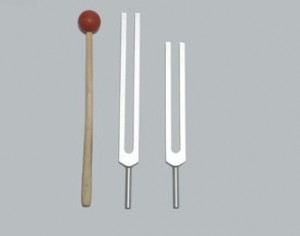 Cellulite Reduction Tuning Forks